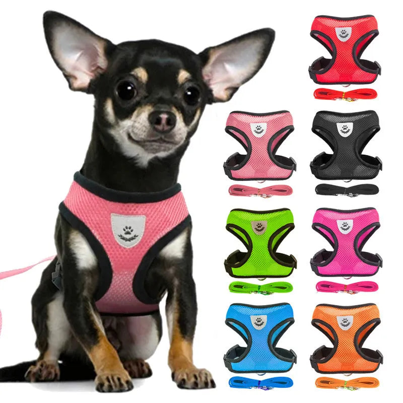 Breathable Mesh Vest Harness with Leash for Puppy and Cat