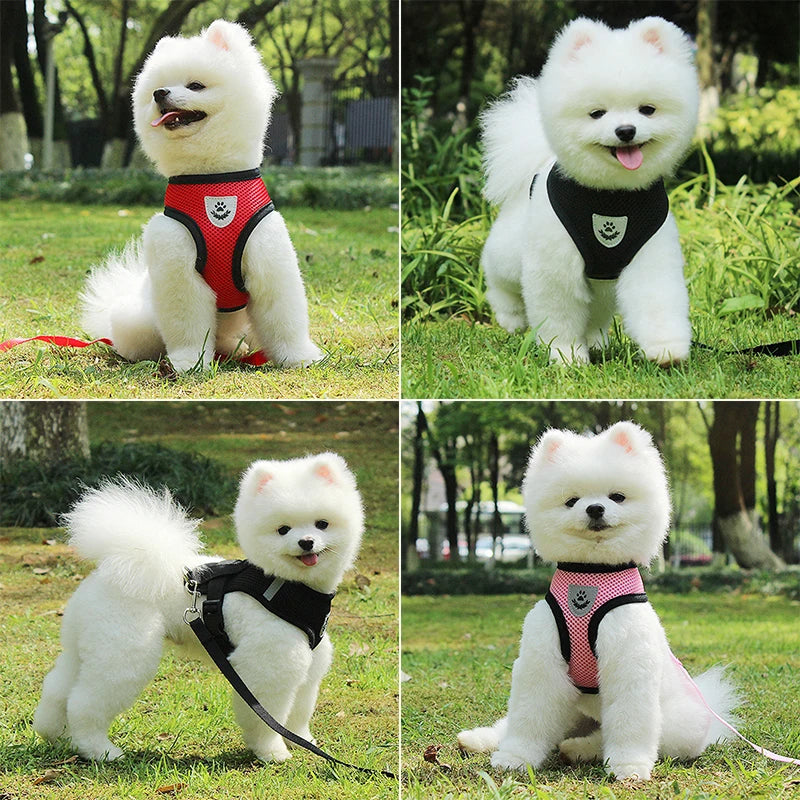 Breathable Mesh Vest Harness with Leash for Puppy and Cat